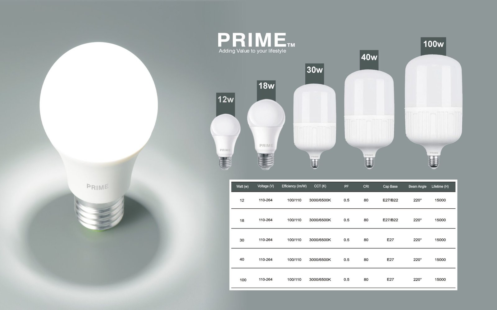 LED BULBS